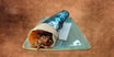 113 Dürüm Döner